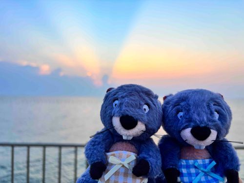 海に来た🌊
沈む夕日を眺める、おれとかんとも〜