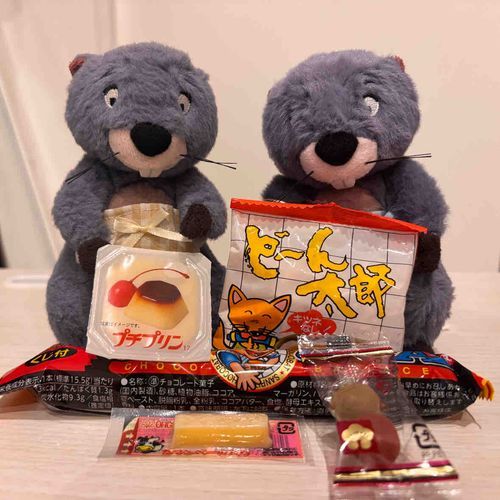 駄菓子祭りだ〜！プチプリンは監督がいただく🍮
どーん太郎の「キツネなし」がいつも謎なんだよな