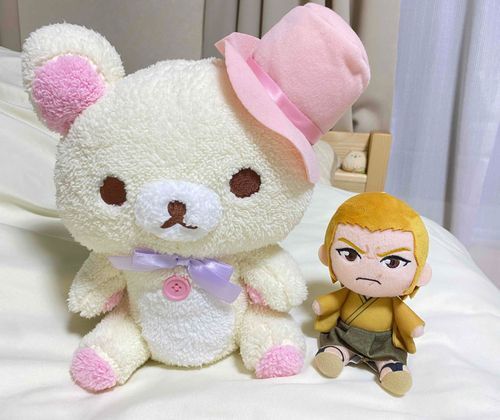 そしてこいつは家のモンがじっかからつれてかえってきたもんや
家のモンのいとこだかめいだかにもらったんやと

ぷらいすうまれらしいわ
わしといっしょやな　おそろいってやつや

え？だきしめてみろやって？
いやえんりょし、うぉっ！？