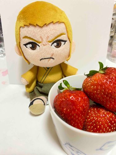 さんかげつぶりのとうこうになってもうたな
家のモンがだいがくたいへんでだうんしとってしゃしんどころやなかったんや　すまんな
これからもちょくちょくとうこうするからよろしゅうな

そしてこれは家のモンがかってきたいちごや
あまずっぱくてうまかったわ
