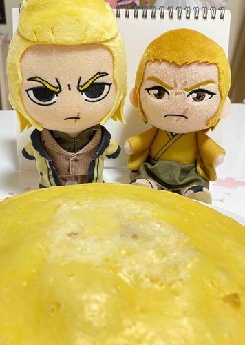 おうおまえなんちゅうなまえなんや

「りゅうじや　ごうだりゅうじ」

りゅうじか　ええなまえやんけ
わしはさいごうきちのすけっちゅうんや

「さいごうきちのすけはん」

せや　いちねんまえくらいからこのいえにおる　じょうかんっちゅうやつやな

「さいごうはんってよんでもええか？」

いきなりなれなれしいな　べつにええけど
ほんならせっかくやしいっしょにくうで
きょうはあんたがいえにきたおいわいや

「はは　そらうれしいなぁ」

「これからよろしゅうおねがいします、さいごうはん」

おう　よろしゅうな、りゅうじはん