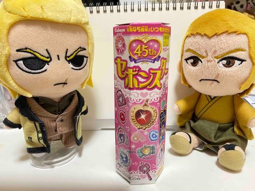 家のモンがおもちゃのねっくれすをかってきおった　なんがじょじのこころをしげきされたんやと

「わしこのきんいろのきらきらしたやつほしいわ」

たのしみやな　さっそくあけようや
