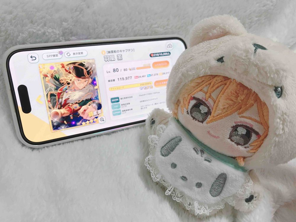 🏴‍☠️🦊❣️