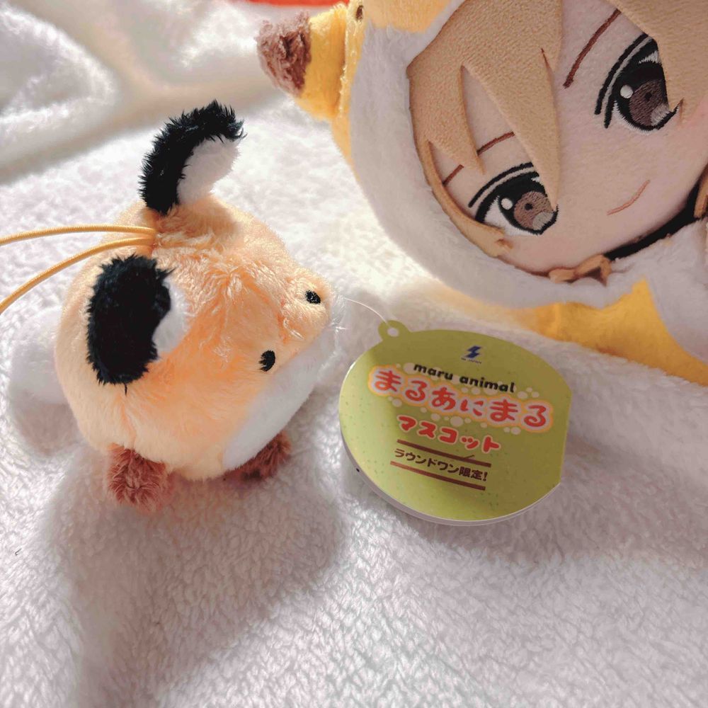きょうは あたらしい おともだちが ふえたよー！
らうんどわんの くれーんげーむこーなーで であった きつねくん🦊
おれに まけず おとらず ふわふわ まんまるで かわいいね〜♪
これから よろしくね😊❗️