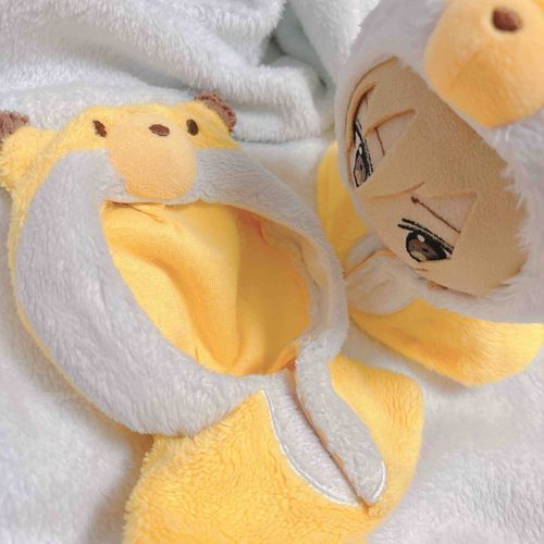 やぬしちゃんに きつねぽんちょを しんちょう してもらったよ〜！
もう おふるの ぽんちょは だいぶ ぱさぱさしてるんだけど おもいでが たくさん あるから すてられないんだ🥺
あれ いつぬちゃんは きにいったのかな？