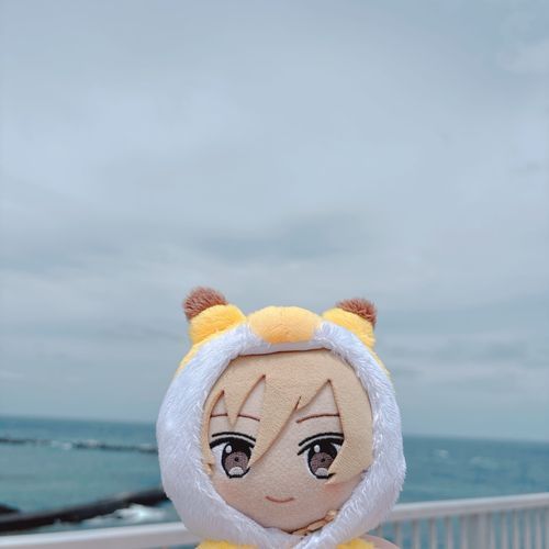 やぬしちゃんと はちじょ〜じまに いってきたよ！
ちょうきしゅっちょう だったみたいだけど まいにち おへやに むしが たくさんでて たいへんだったんだ😫
さいきん あっちこっち いそがしくて ぜんぜん とうこうできてなかったから また すこしずつ とうこう していくね〜！