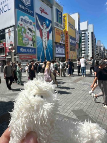 グリコだー！