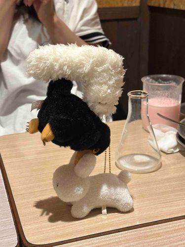 お酒を飲んで気がついたらこうなっていた
何が起きたんだ