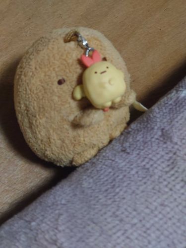 とんがえびどらごんもらた。かわよい
まーのは？