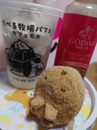 たかい、かいもの
