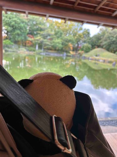 🎗️「水の上にお家が浮いているみたいですだ✨綺麗だなぁ〜。周りにお人間さんがいっぱいいたから、ご主人クンの鞄からこっそり見てますだ！」