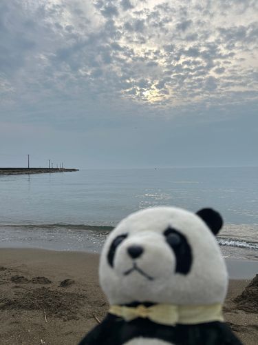 🎗️「みんな久しぶり！黄色ですだ〜！今日は海沿いをお散歩ですだ♪」
