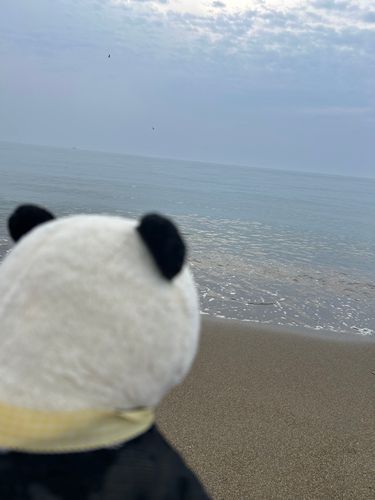 🎗️「潮風が気持ちいいですだね....飼い主さん、あの向こうには何があるんですだ？宝島？」