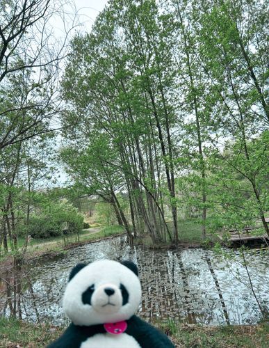 🩷「まるで絵画みたいに綺麗な湖がありました✨
どうしても、実際よりも写真だと暗くなっちゃいますね💦💦ご主人さんが編集してくれたけど、本当はもっと鮮やかな緑でしたよ〜💕」