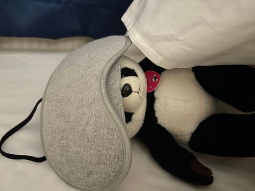 🩷「しんいりです...むにゃむにゃ...明日の朝ご飯はいったい何が出るんでしょうね...お腹空いちゃいます...むにゃ...」