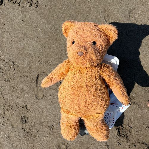 日焼け中🧸☀️✨