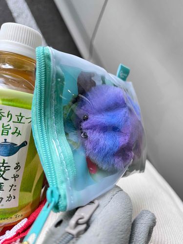 ぺっちゃんこにされてます…。