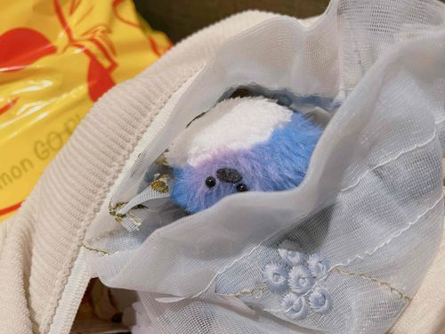 すしはさいきん、ふくろにいれられて、はこばれています。