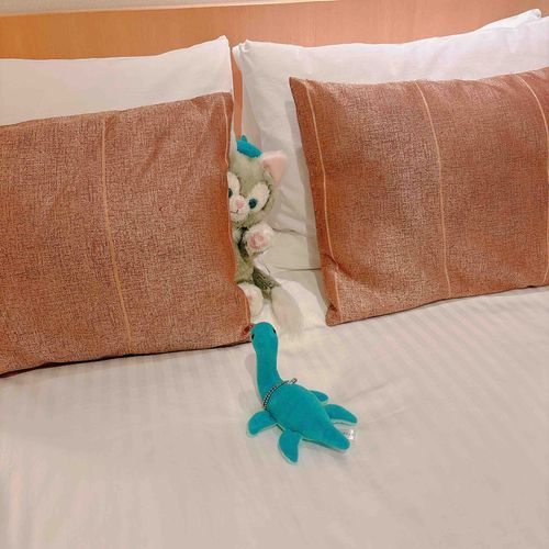 かくれんぼしましょ～🫣‎