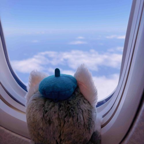 空だね～✈️☁️