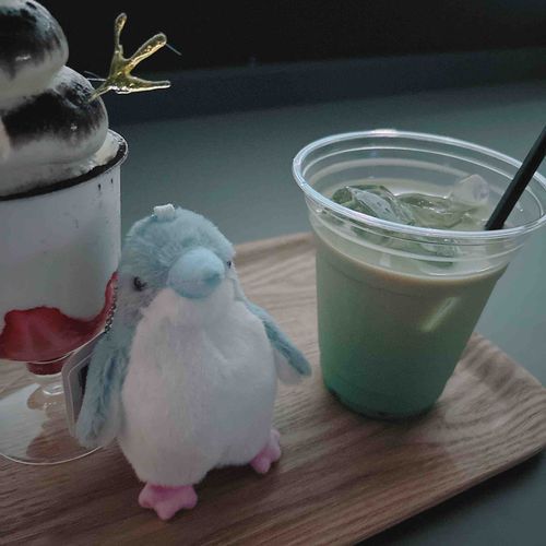 あたらしいおともだち、フェアリーペンギン🐧🧚‍♂️🪄︎︎✨