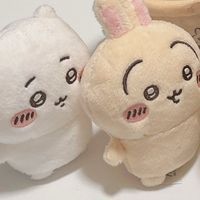 ちいかわ族🐰🐻‍❄️