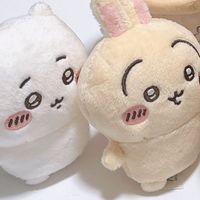 ちいかわ族(˶՞･֊･՞˶)