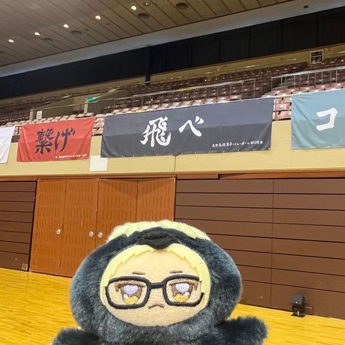 飛べ🐦‍⬛