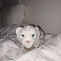 らいと