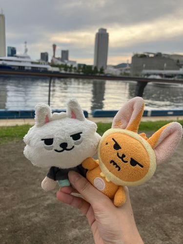 きょうは らいぶ！ たのしみ🎶
