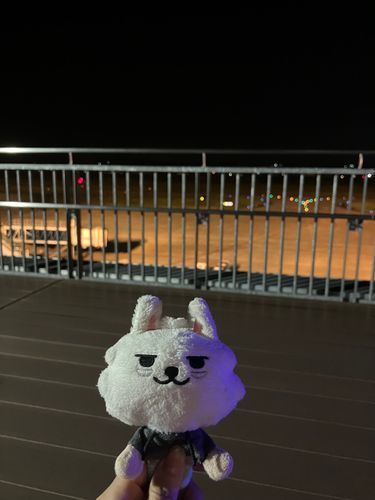 おともだち が ひこうき で あそびに くるから くうこう まで おむかえ♩ はやく こないかなー🐰 ✈️