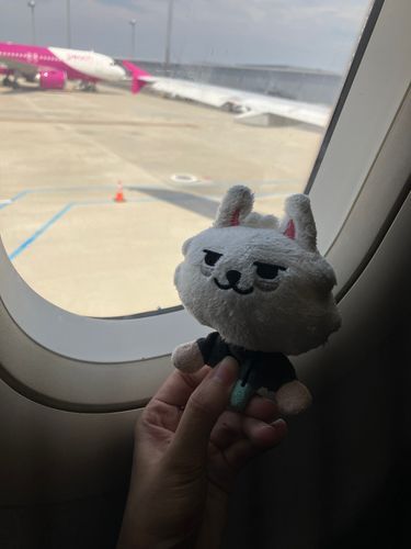ひこき のって かんこく いくよ🐰たのしみ🐰♩