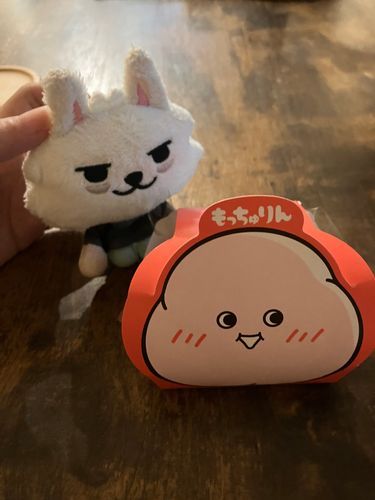はじめて の もちゅりん🐰