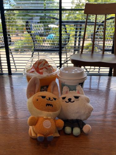 すたば ふらぺちの のんだよ🐰 ふぁんちゅん も いっしょ♡
