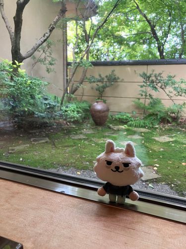 わびさび やね