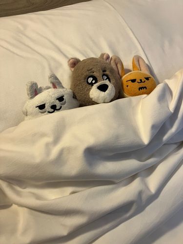 しるば うぃく おとまり 