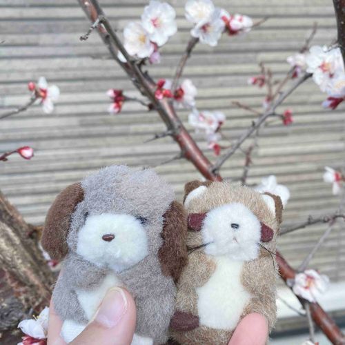春がそこまできてるね🌸
にんげんちゃんは冬がすきみたいだけど、おはながすきなぼくは春がたのしみだよ꒰ ᐡ⸝⸝- ‧̫ -꒱