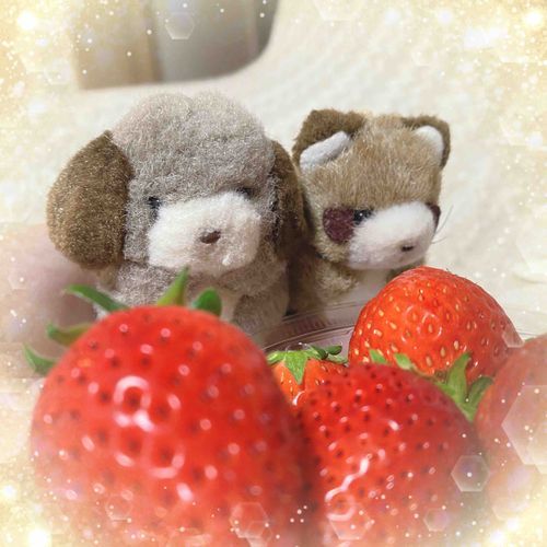 みんなおひさしぶり( ;꒳​;  )！
4月から生活がかわって、なかなか「とうこう」や「いいね」できなくてごめんね( ;꒳​;  )
おひさしぶりに、しゃしんをのせてみるね🍓おおきないちごパックだよ✨️
