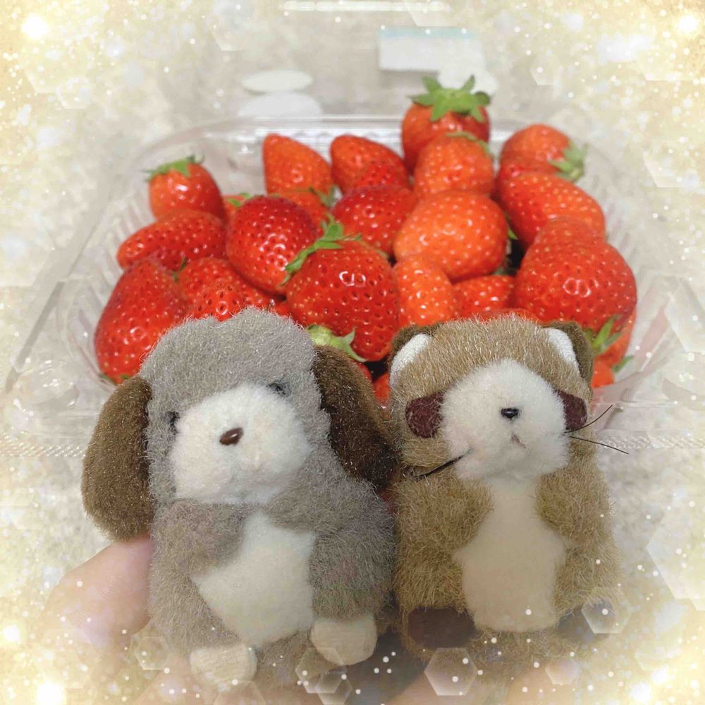 みんなおひさしぶり( ;꒳​;  )！
4月から生活がかわって、なかなか「とうこう」や「いいね」できなくてごめんね( ;꒳​;  )
おひさしぶりに、しゃしんをのせてみるね🍓おおきないちごパックだよ✨️