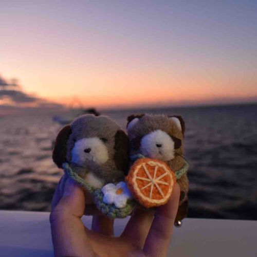 3月のおもいで.｡.:✽・ﾟ＋.｡.:✽
ぼくたちもにんげんさんも、はじめてふね🚢にのったんだ❣️
のるまえはすっごく不安だったけど、乗ってみたら海がキレイで楽しかったの！ぼくたちも、あさひをみたんだ🌅