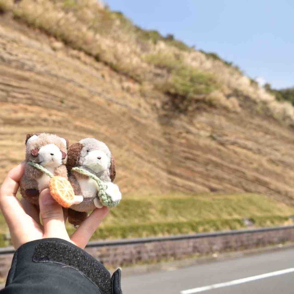 ふねにのって行ったさきは「伊豆大島」というちいさなしまだったんだ( U - ·̫ - )✨️
おやまにのぼったり、バームクーヘンのような「ちそう」をみたりしたんだ！