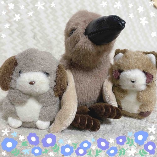 それでね…あたらしいおともだちをむかえたんだ❣️このこは、ペンギンのホントのあかちゃんと同じおおきさ、おもさなんだって✨️あとから気づいたんだけど、なんとたけのこ村出身だったの✨️ぴったり70gだから、『ななちゃん』だよ🐧
