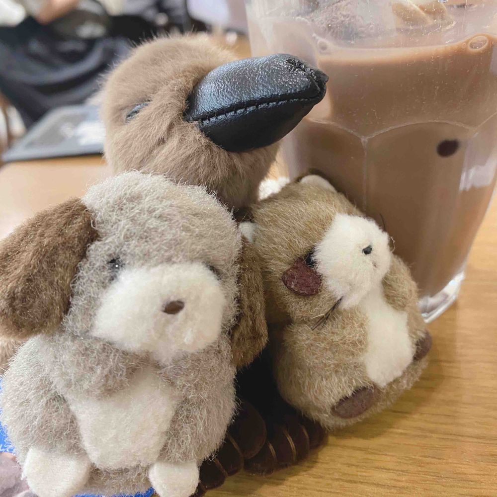 それでね…あたらしいおともだちをむかえたんだ❣️このこは、ペンギンのホントのあかちゃんと同じおおきさ、おもさなんだって✨️あとから気づいたんだけど、なんとたけのこ村出身だったの✨️ぴったり70gだから、『ななちゃん』だよ🐧
