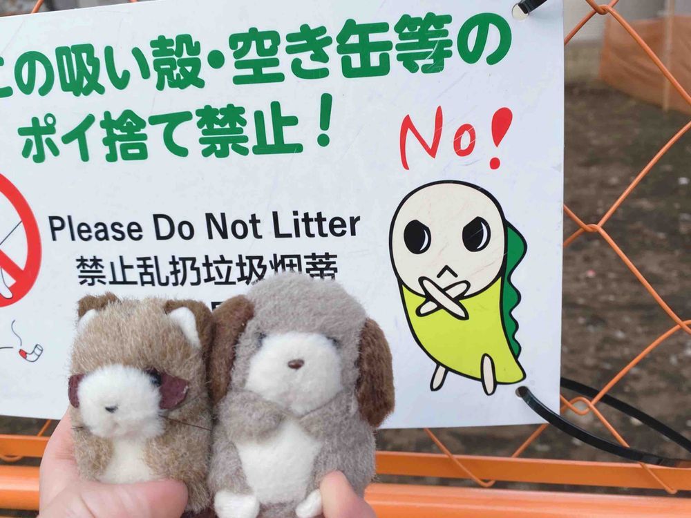 このまえ、「わたしのワンピース」っていうにんげんさんがちいさなころに読んでいた絵本の絵を見に行ったんだ🐰✨️ラララン ロロロン꒰ ᐡ⸝⸝- ‧̫ -꒱