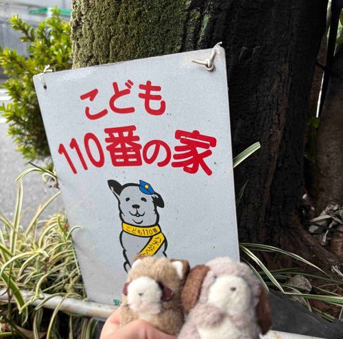 こども110ばんがとってもかわいかったよ✨🐕