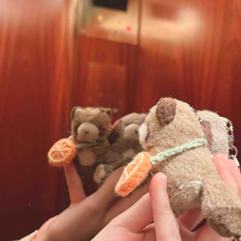 びじゅつかんにいったら、ぬい用の 撮影パネルがあってパシャリ🎨❣️むかしのひとも、わんちゃんとかだいすきだったんだねぇ！ってうれしくなった展示だったよ。
行く前、エレベータの中で鏡で身だしなみチェックをしたよ✔︎︎︎︎