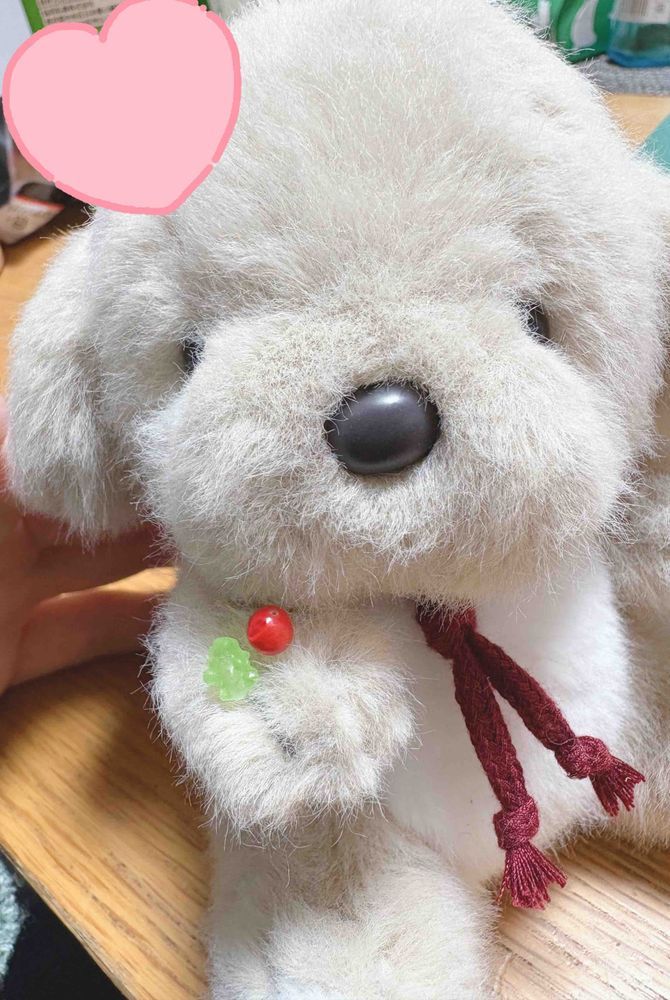 おやつのじかんだね〜🫖「カシュカシュ」ってなまえのお紅茶をもらったんだ！かくれんぼって意味なんだって❣️金平糖とピンクペッパーが入ってて、うめ吉くんが取ってくれたよ〜🌟きれい！