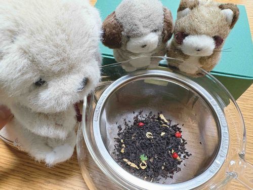 おやつのじかんだね〜🫖「カシュカシュ」ってなまえのお紅茶をもらったんだ！かくれんぼって意味なんだって❣️金平糖とピンクペッパーが入ってて、うめ吉くんが取ってくれたよ〜🌟きれい！