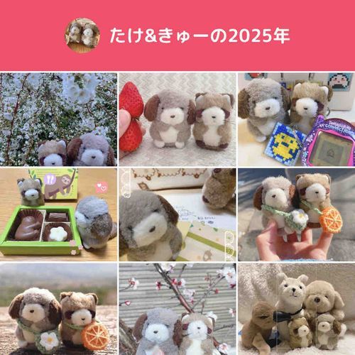 あけましておめでとう〜🎍🌅🎍
2025年のまとめ、いまさらだけどとうこうしてみるよ〜！
ことしはもっと、ふわもこのみんなにあいにきたいなっ✨️
2025ねんもありがとう、そして2026ねんもよろしくねっ（*'∀'人）♥*+