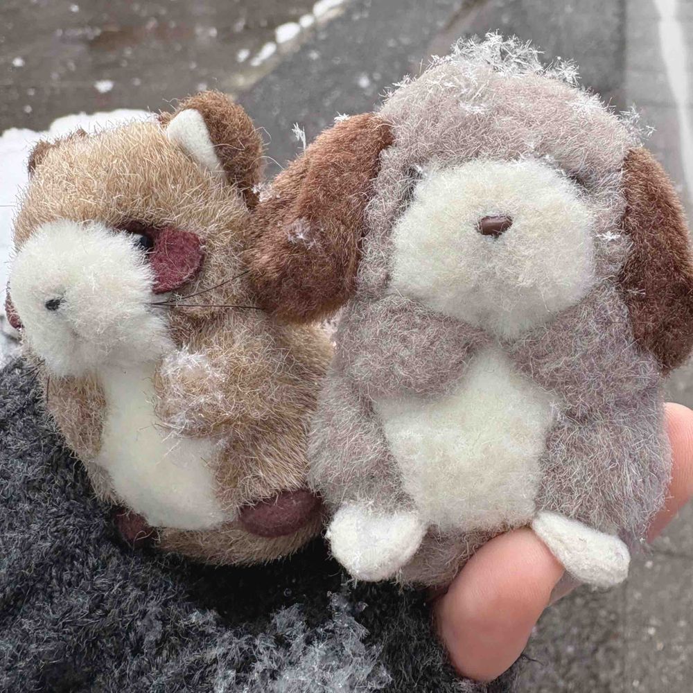 このまえのゆき、とーってもわくわくしちゃった〜⛄️❄️
ゆきのけっしょうがカメラにも映るくらい、ふわふわ、きれーいな雪‎🤍
でも、おおゆきでたいへんなちいきもあるってきいてるからしんぱいだ…